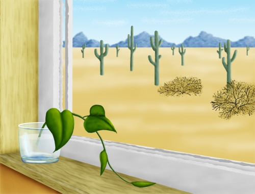 Creation of Desert Window: Step 8